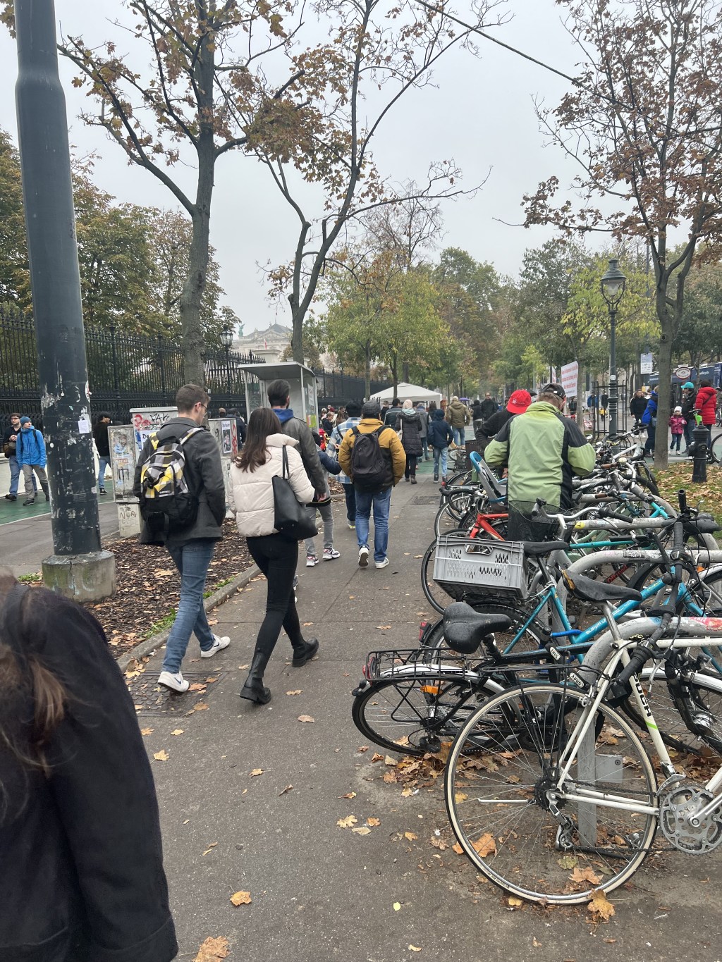 How Vienna Institutionalizes Human&nbsp;Rights