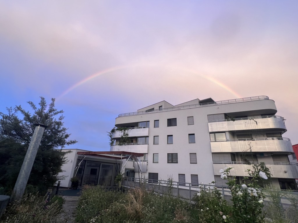 Housing with an Identity: Community Living in Vienna’s Grüner&nbsp;Markt